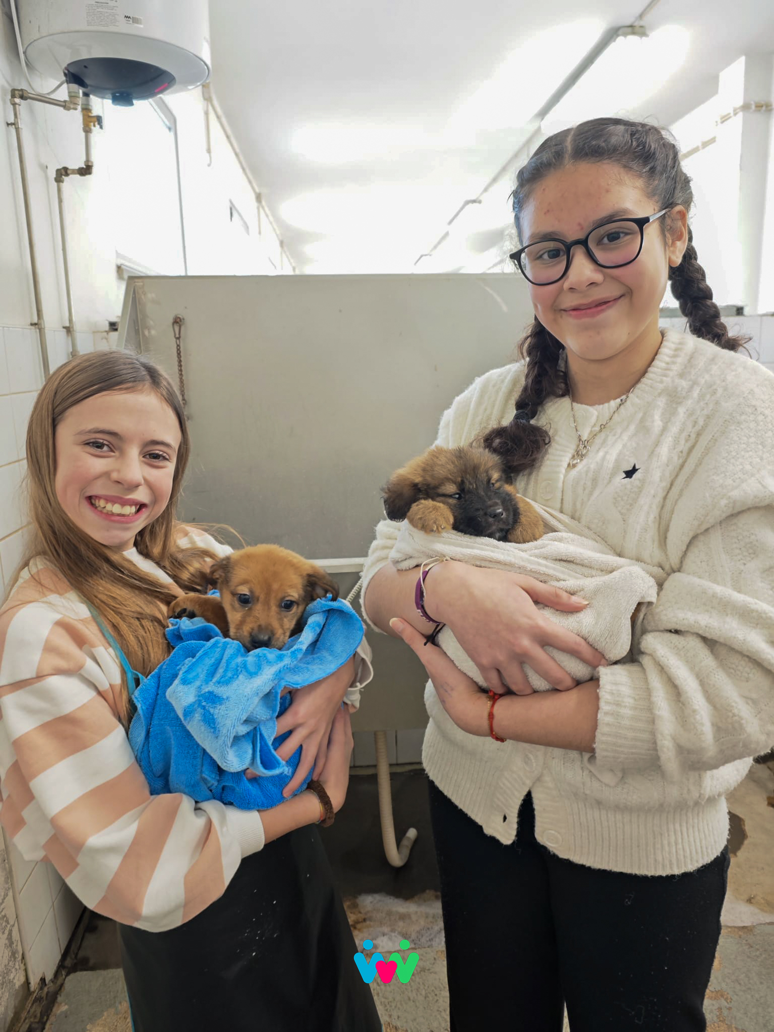 Geração V: Faz-te ao Voluntariado – CROAM e Fruta Feia